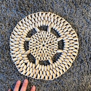Natural Shell Wall Art Decor